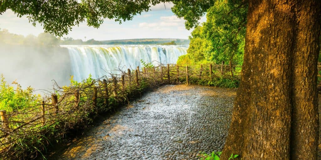 New Baboon-Proof Bins in Victoria Falls