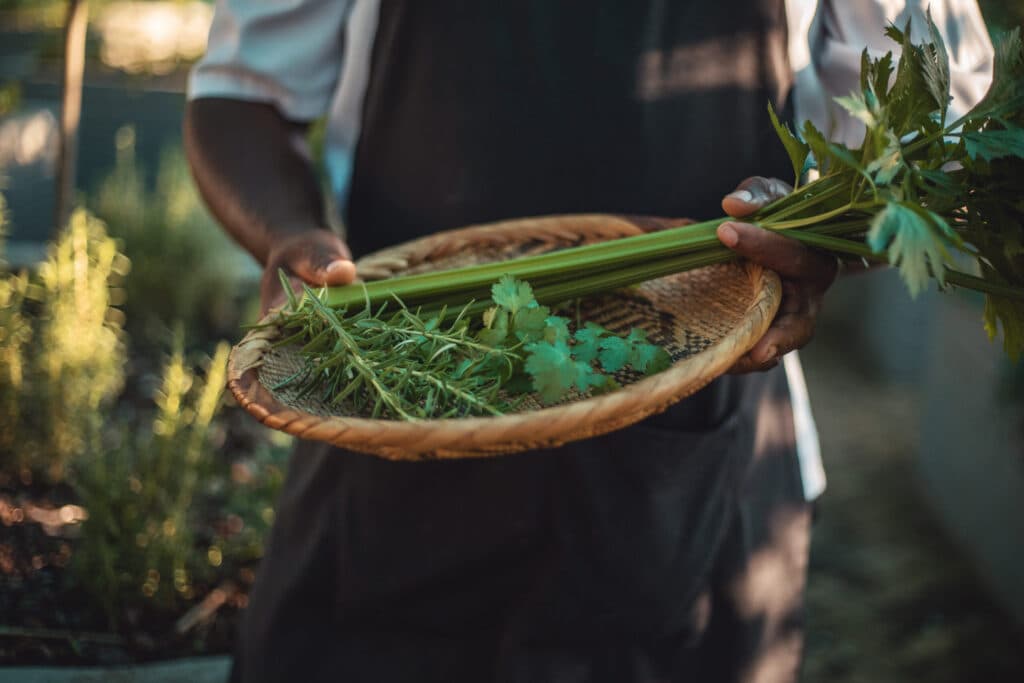 From Garden to Table at Ilala Lodge Hotel