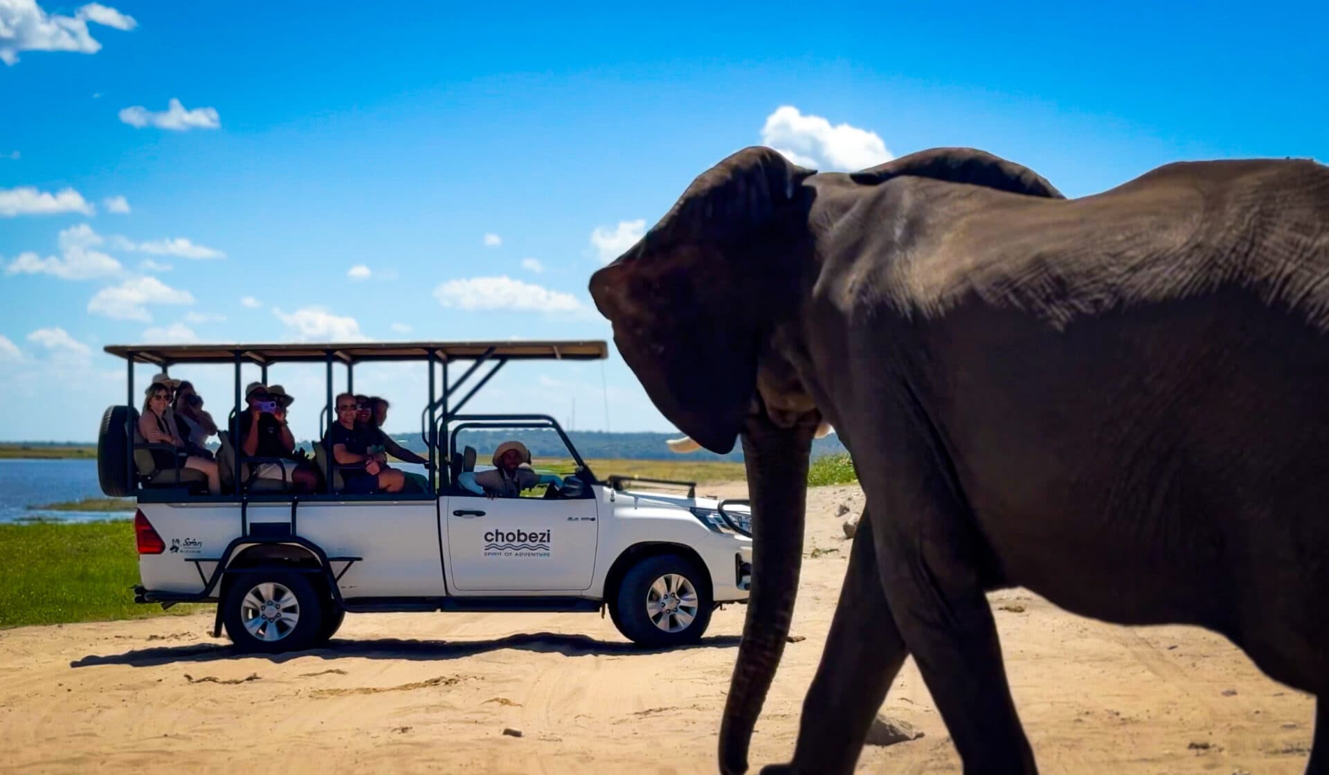 Chobe & Hwange National Parks - Image 4