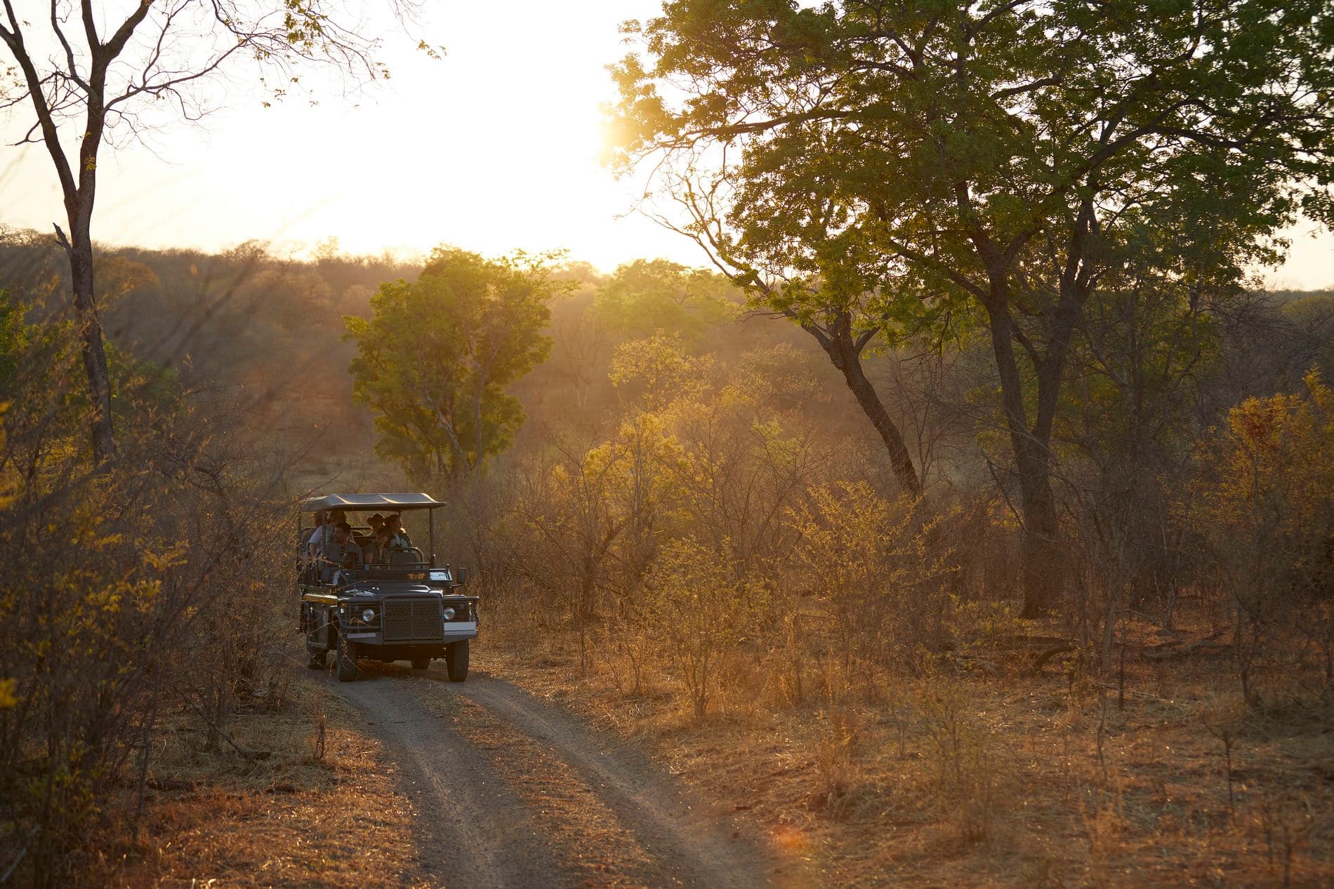 Game Drives - Image 1