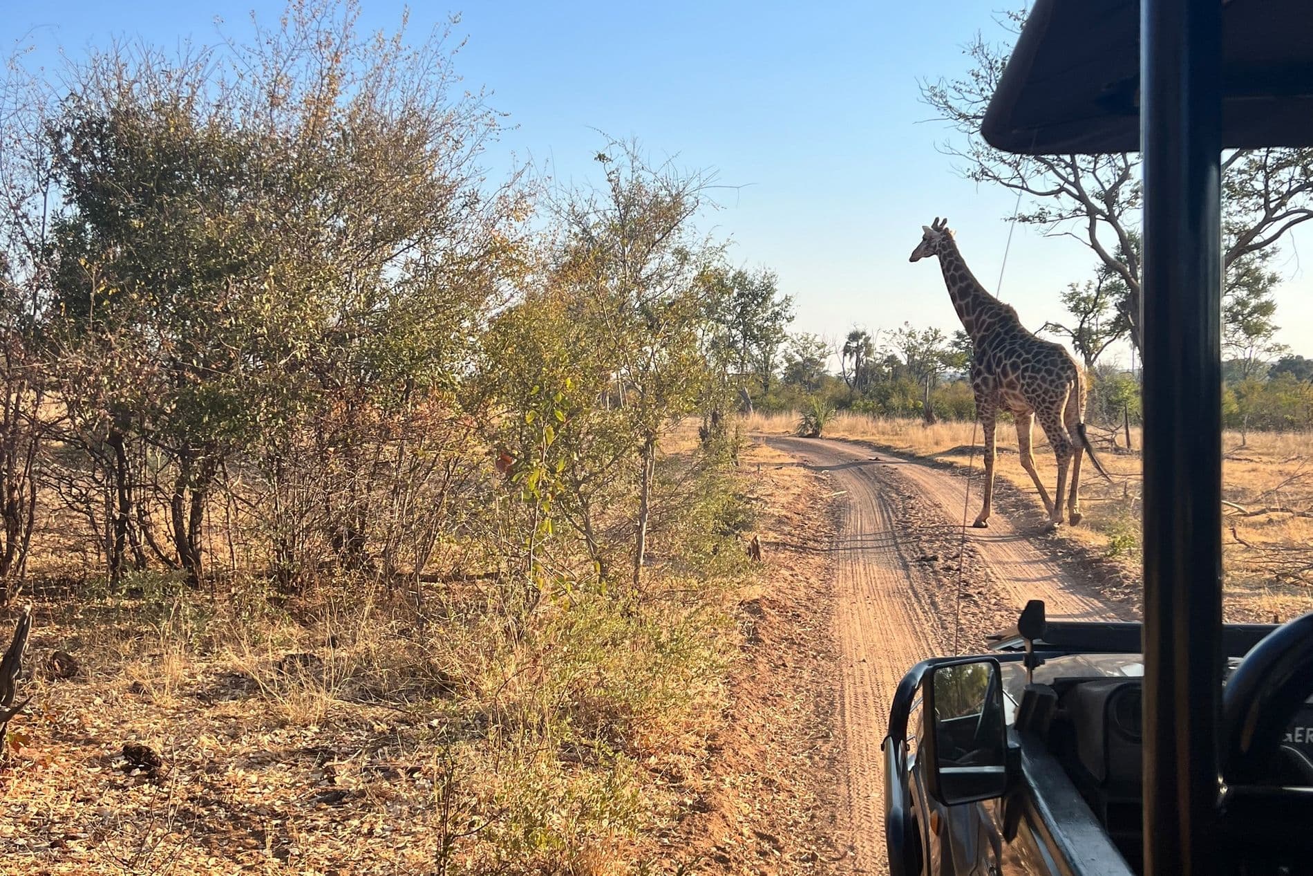 Dry Season - Image 3