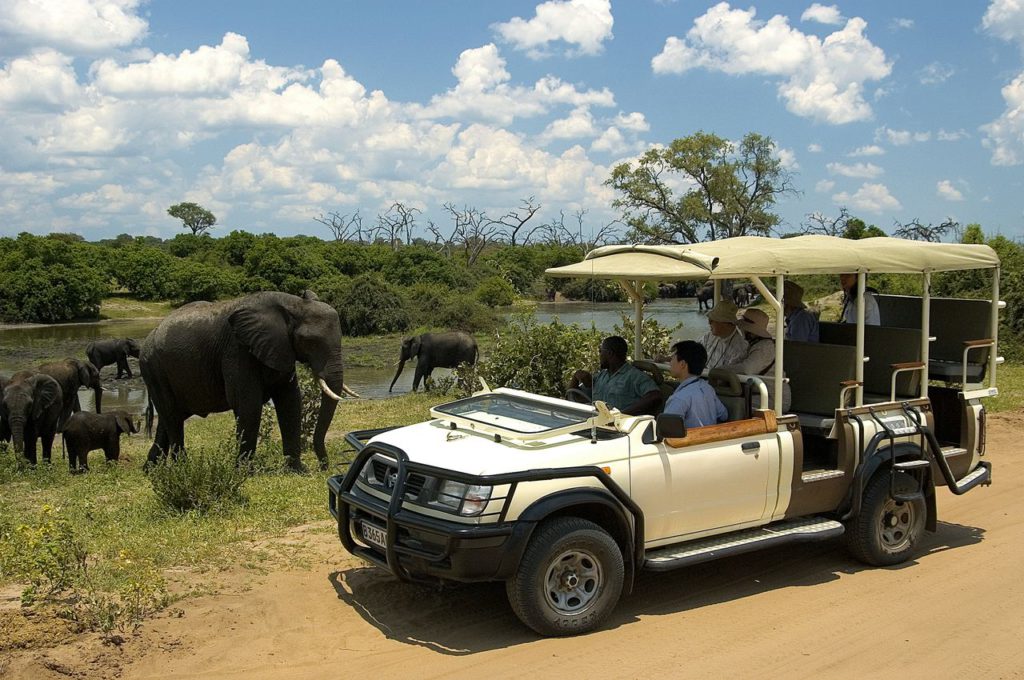 Chobe National Park Day Trip, Victoria Fall Wildlife, Zimbabwe